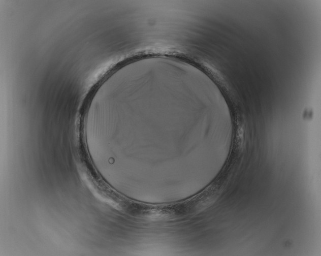 X0000112200678200909041317