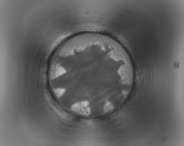 X0000112200679200909041317
