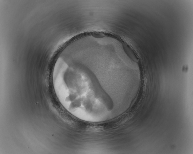 X0000112200680200909041317