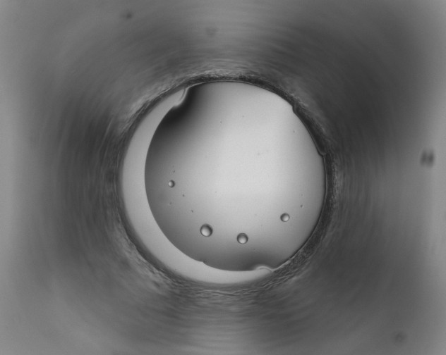 X0000112200681200909041317