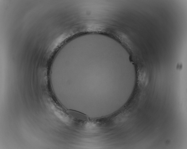X0000112200684200909041317