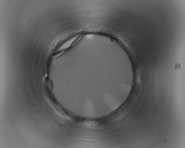 X0000112200685200909041317