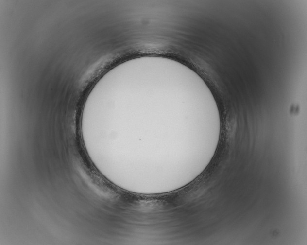 X0000112200686200909041317