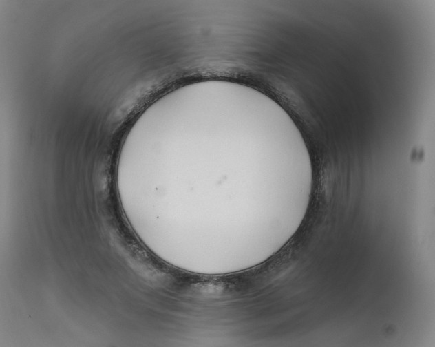 X0000112200687200909041317