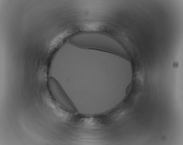 X0000112200688200909041317