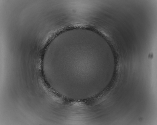 X0000112200689200909041317