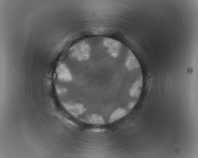 X0000112200691200909041317