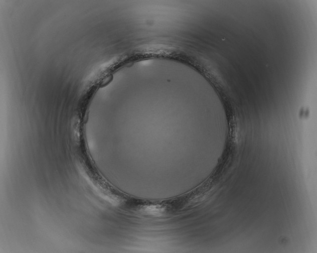 X0000112200692200909041317