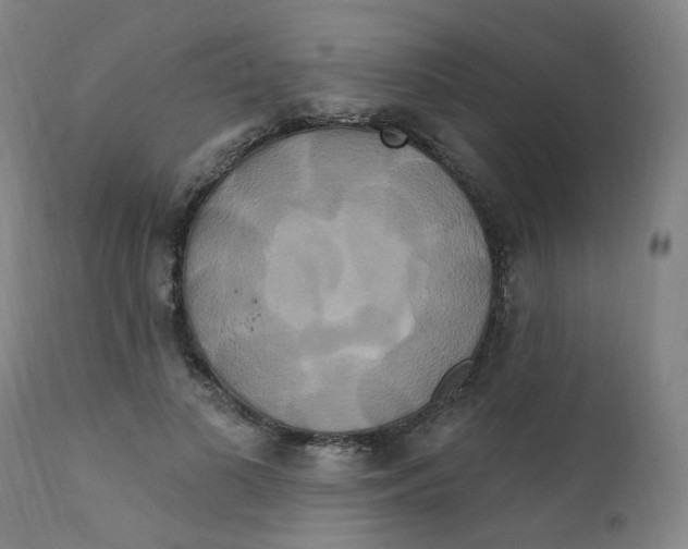 X0000112200693200909041317