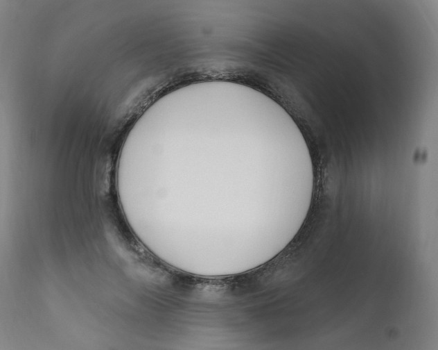 X0000112200694200909041317