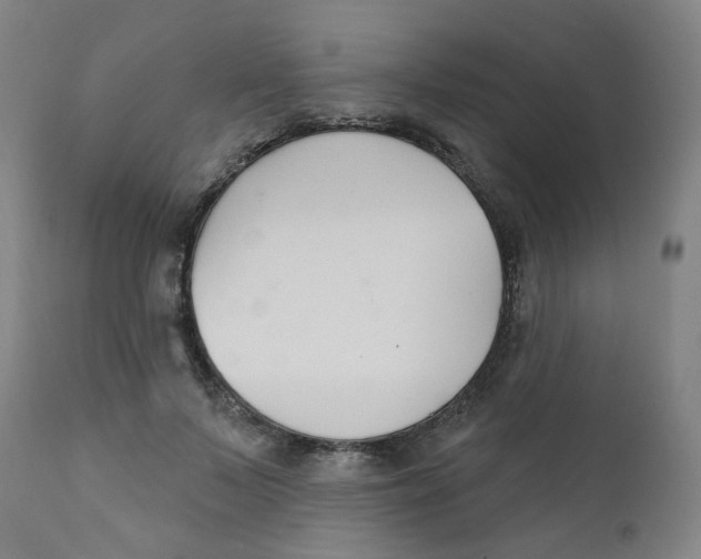 X0000112200695200909041317