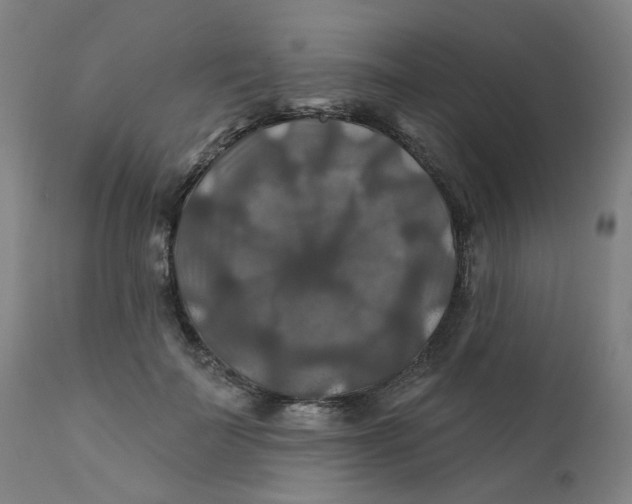 X0000112200699200909041317