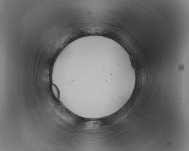 X0000112200700200909041317
