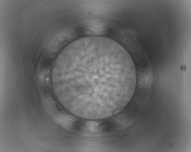 X0000112200701200909041317