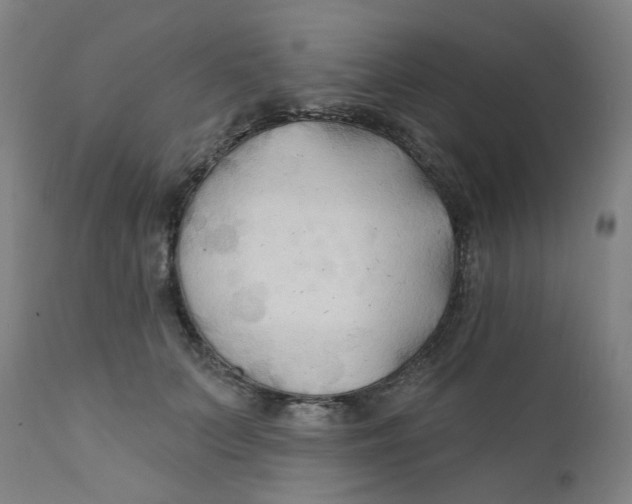 X0000112200703200909041317