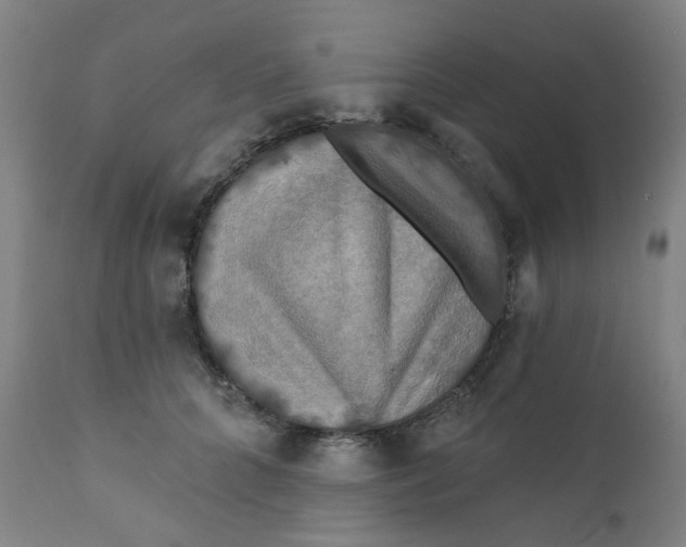 X0000112200704200909041317