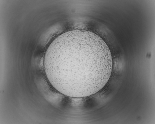 X0000112200705200909041317