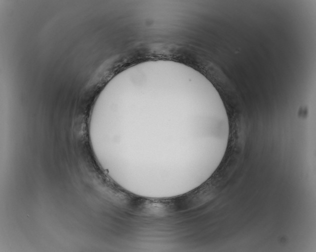 X0000112200706200909041317