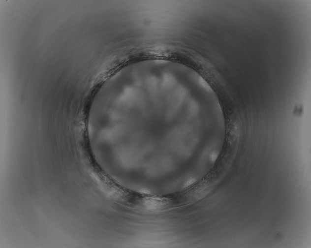 X0000112200707200909041317