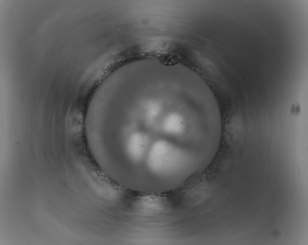 X0000112200708200909041317
