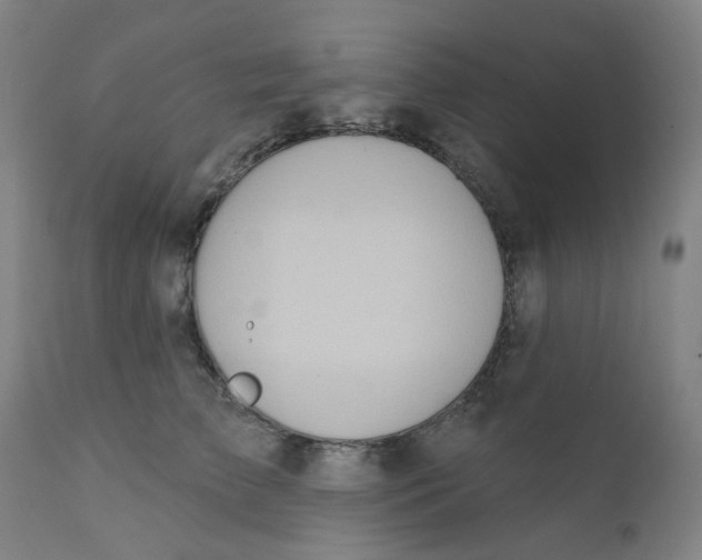 X0000112200709200909041317