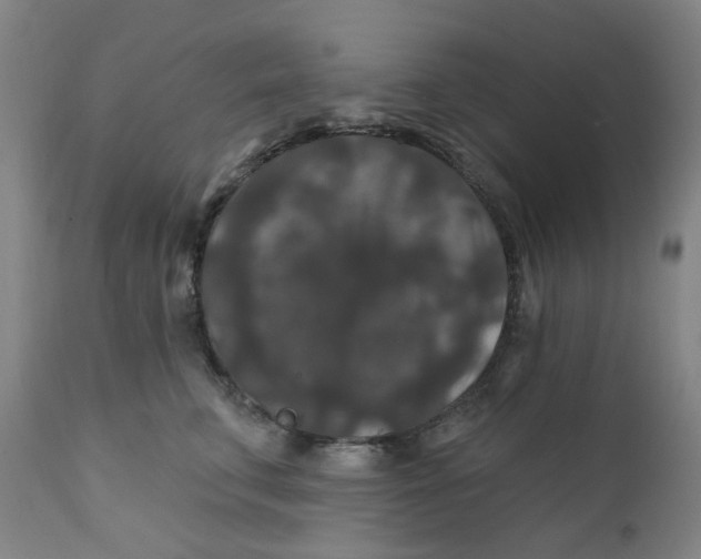 X0000112200711200909041317