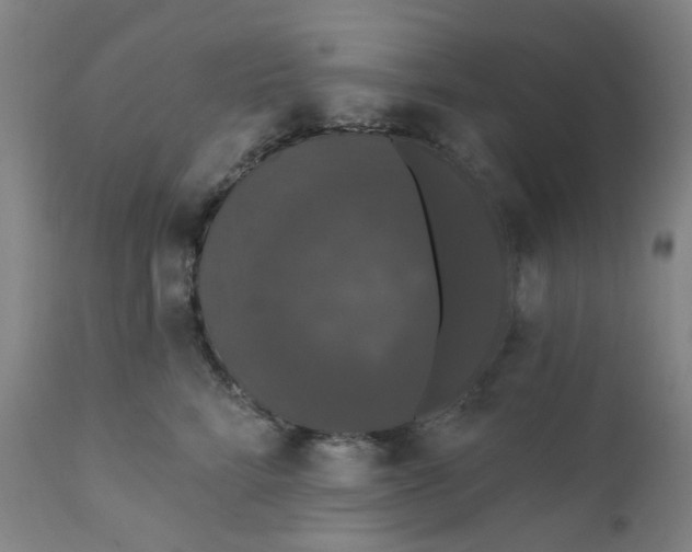 X0000112200712200909041317