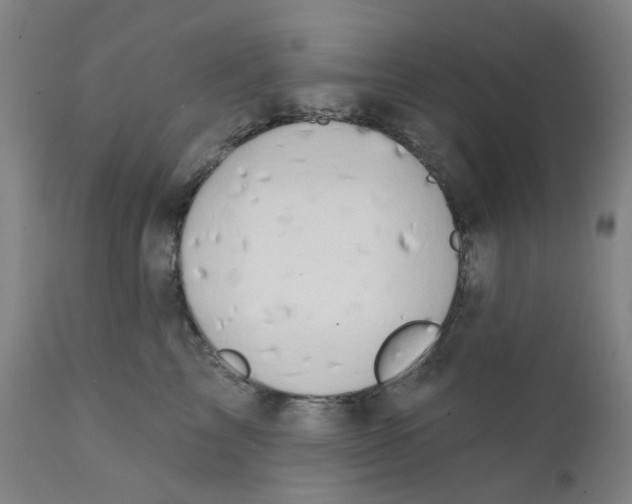 X0000112200713200909041317