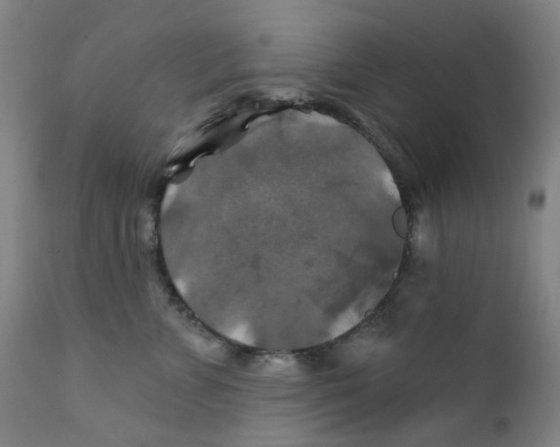 X0000112200715200909041317