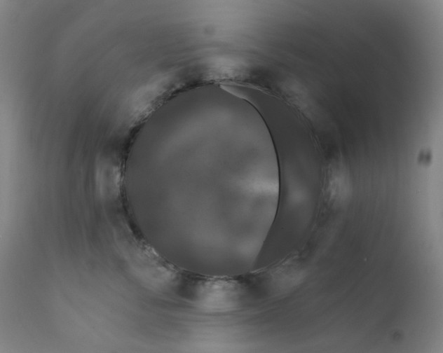 X0000112200716200909041317