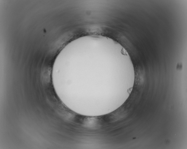 X0000112200717200909041317
