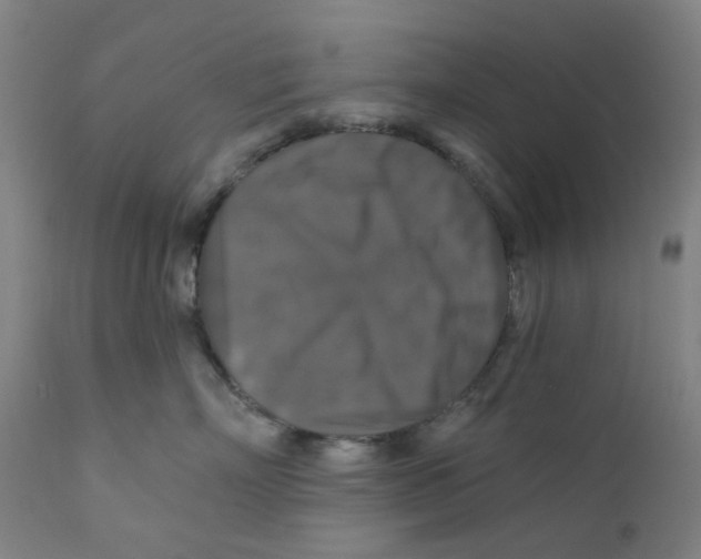 X0000112200718200909041317