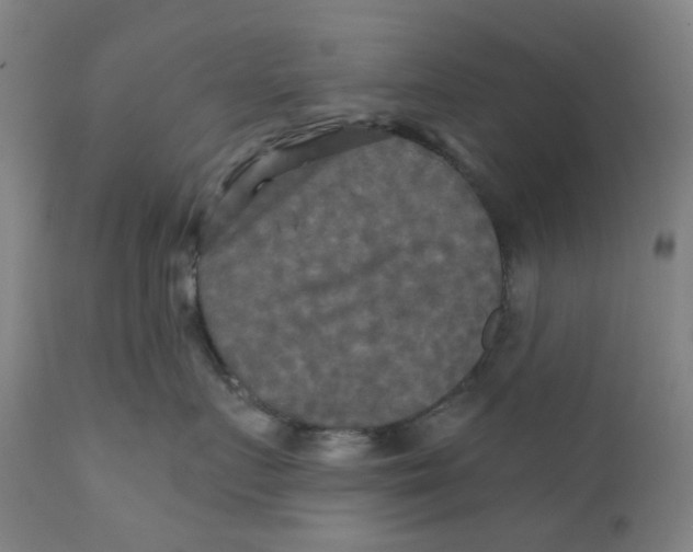 X0000112200719200909041317