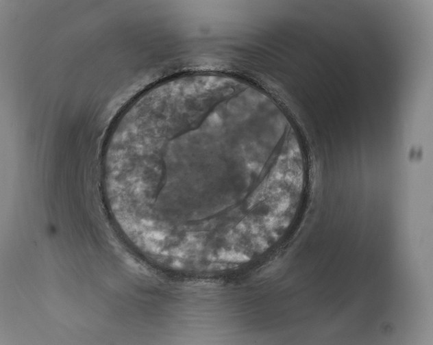 X0000112200721200909041316