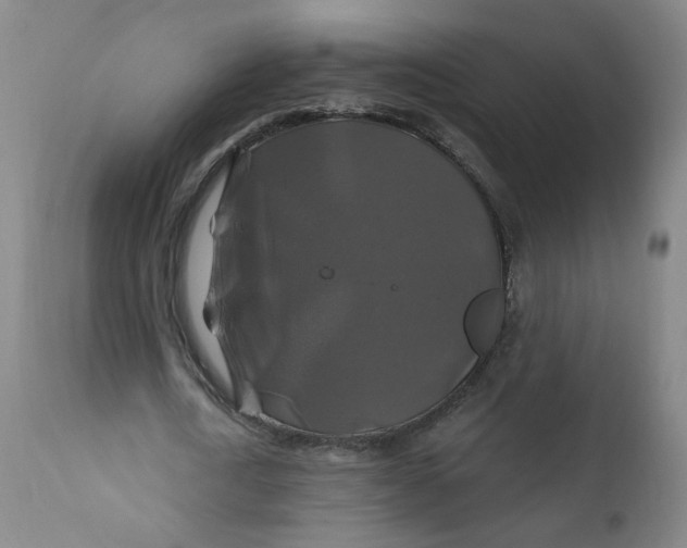 X0000112200722200909041316