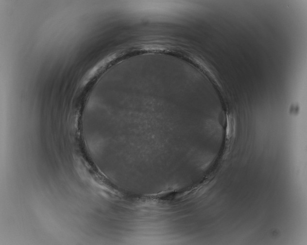 X0000112200723200909041316