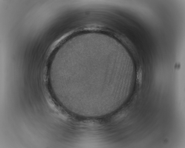 X0000112200724200909041316