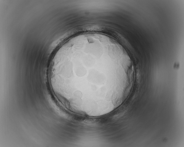 X0000112200725200909041316