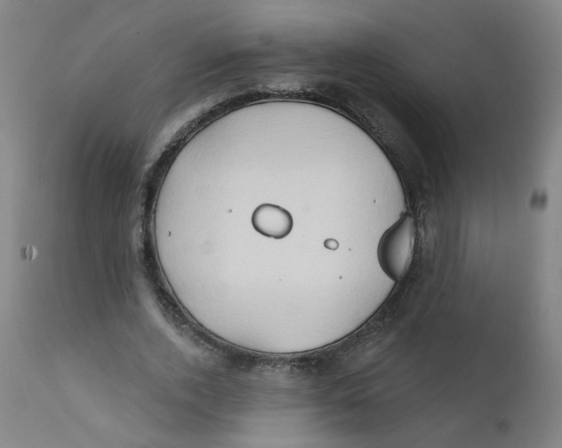 X0000112200728200909041316