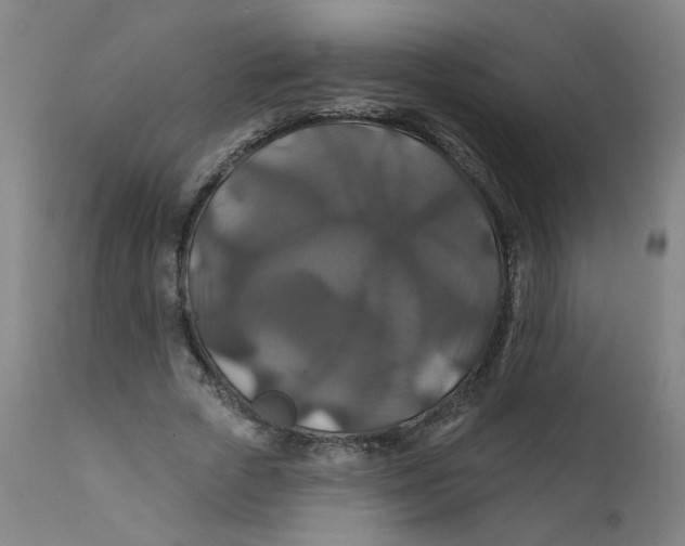 X0000112200729200909041316