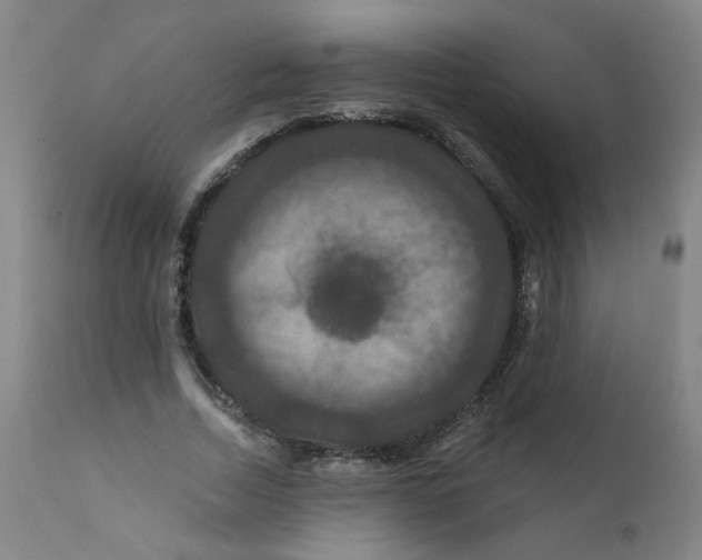 X0000112200730200909041316