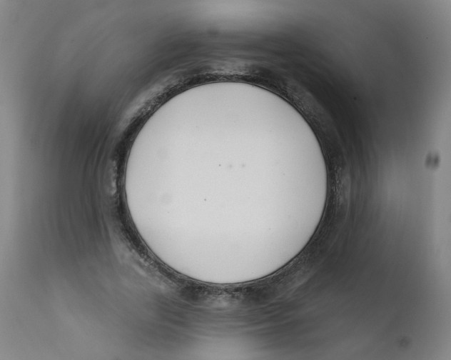 X0000112200731200909041316