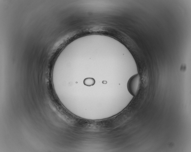 X0000112200732200909041316