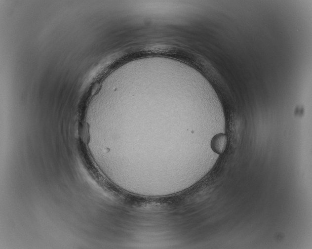 X0000112200734200909041316