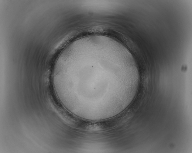 X0000112200735200909041316