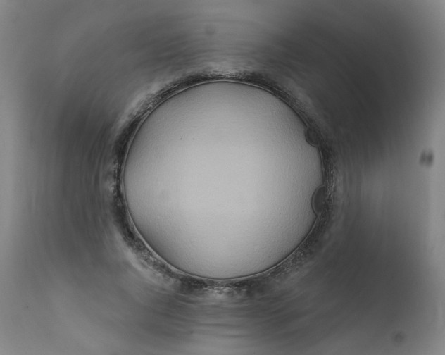 X0000112200736200909041316