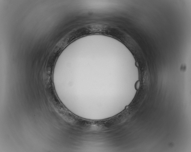 X0000112200737200909041316