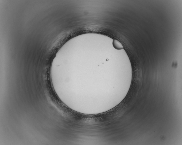X0000112200738200909041316