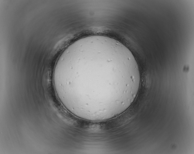 X0000112200740200909041316