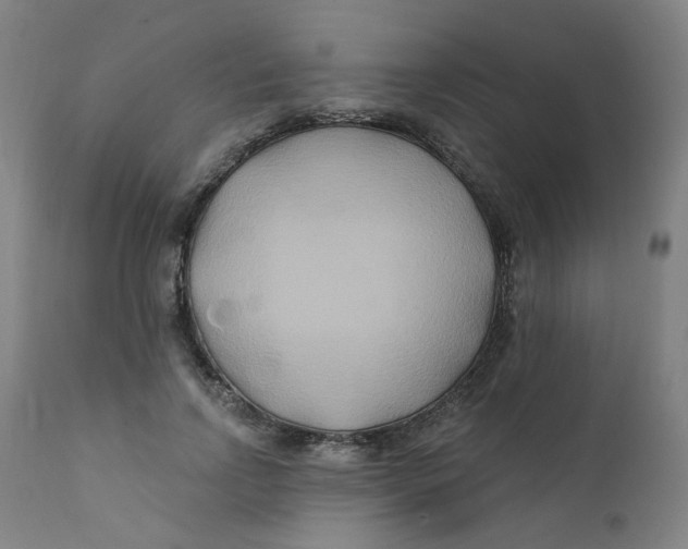X0000112200742200909041316